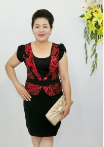 Đầm thời trang ( ĐT 080)