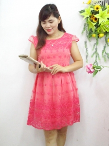 Đầm thời trang (ĐR 022B)